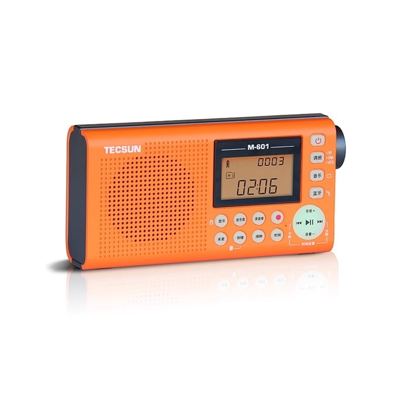 ICR-100 Digital Radio Audio Player