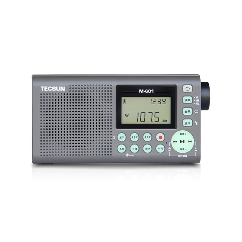 ICR-100 Digital Radio Audio Player - Image 2