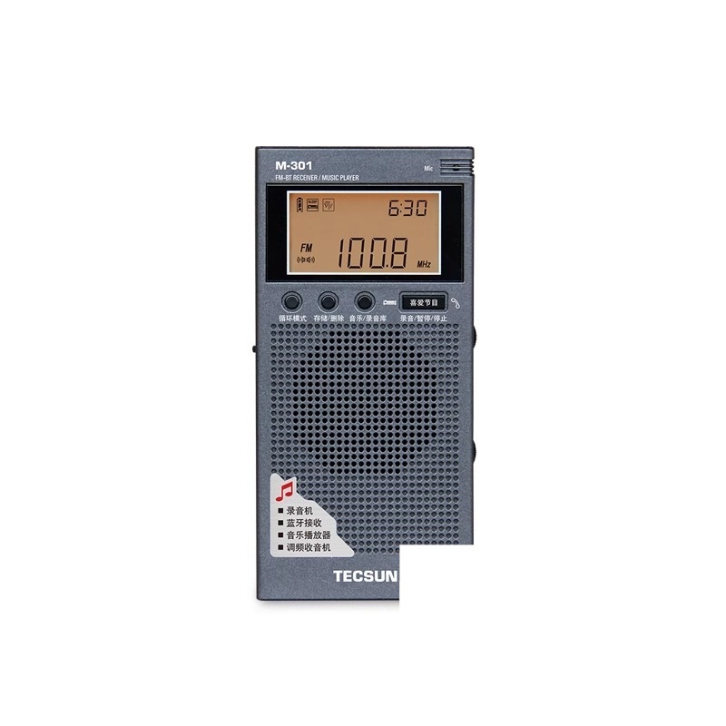 M-601 FM Radio Bluetooth Speaker Recorder