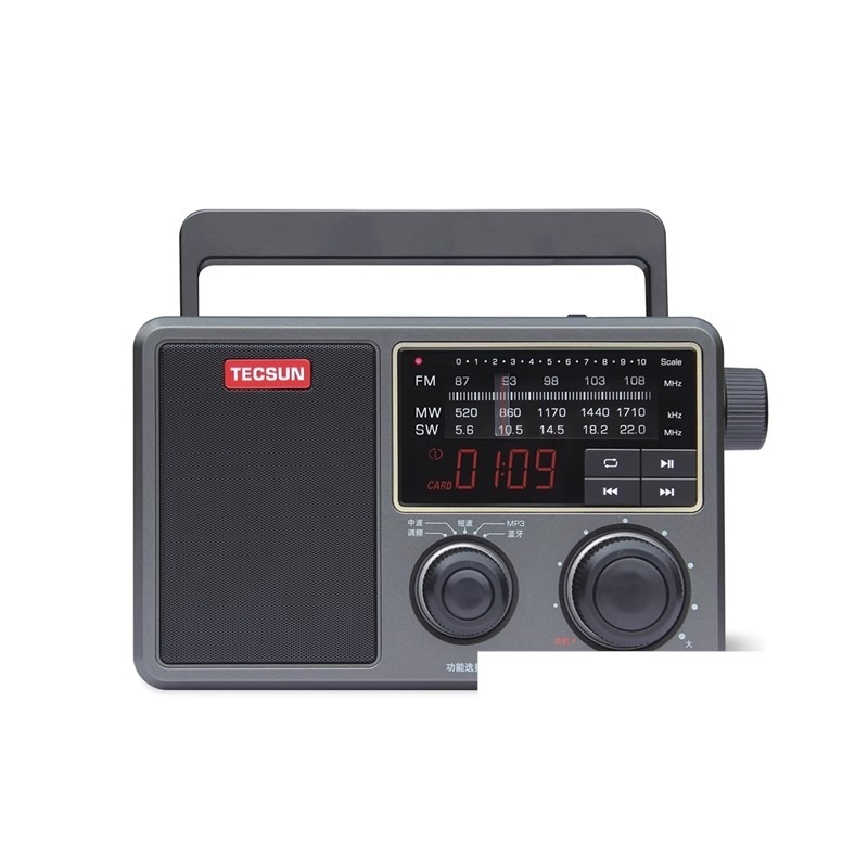 PL-307 Portable DSP Bluetooth Radio Player - Image 2