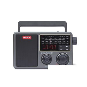 RP-307 Portable DSP Bluetooth Radio