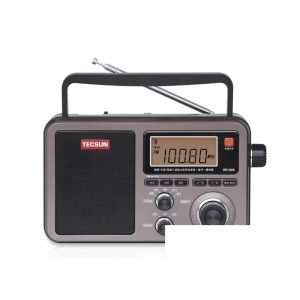 RP-309 Portable DSP Digital Radio